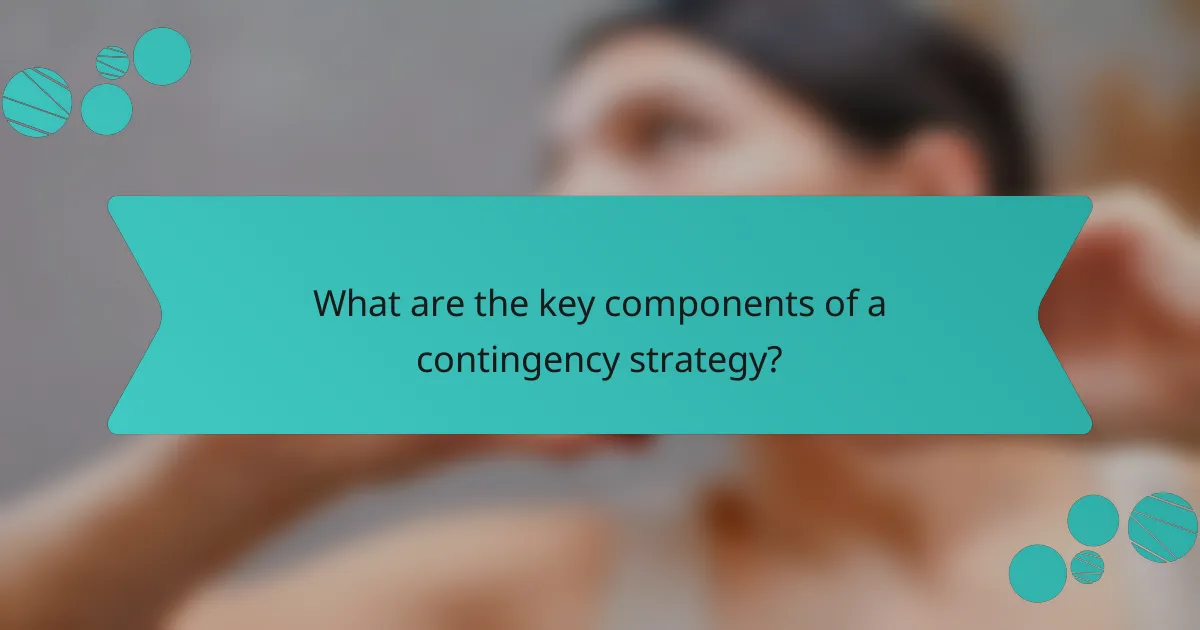 What are the key components of a contingency strategy?