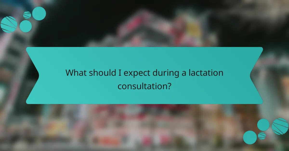 What should I expect during a lactation consultation?