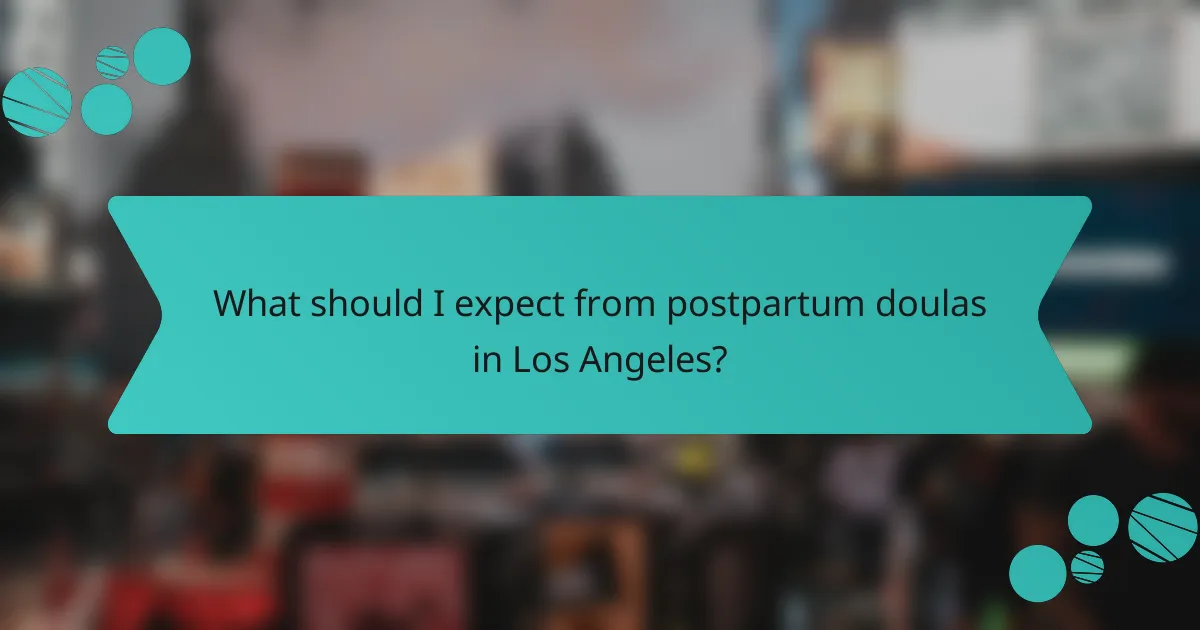 What should I expect from postpartum doulas in Los Angeles?