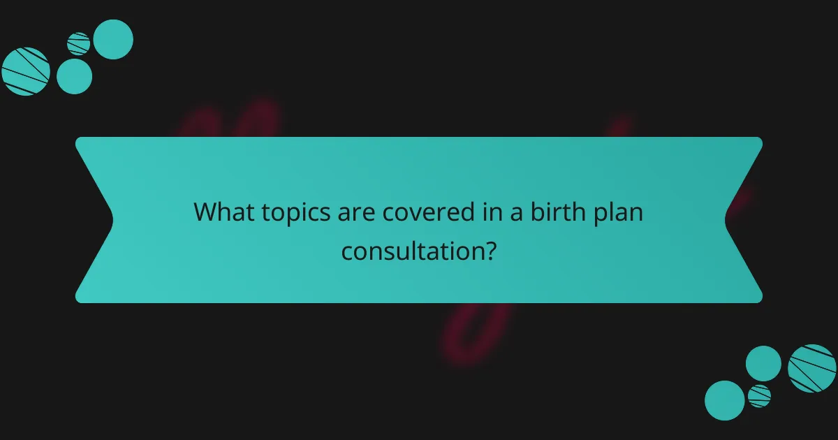 What topics are covered in a birth plan consultation?